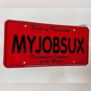 Funny Decorative License Plate 🚘